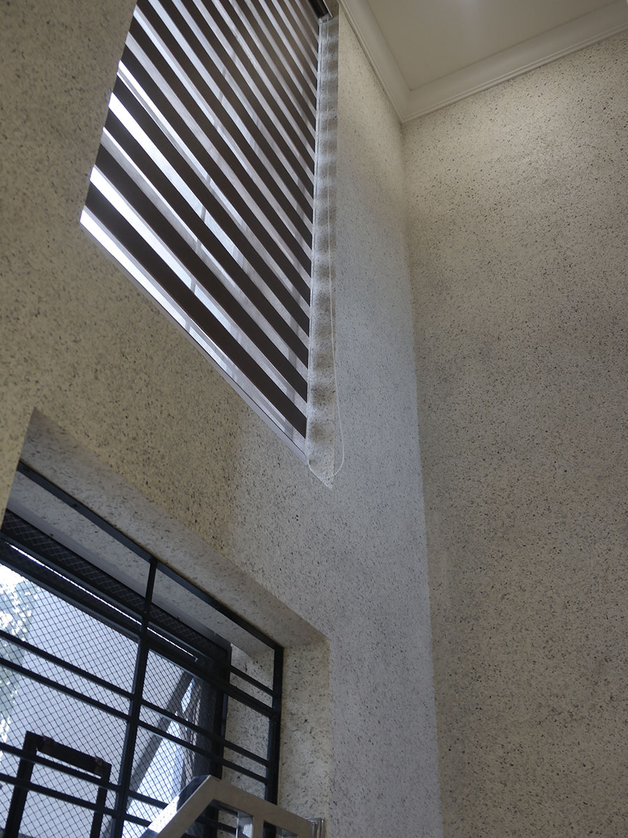 SESAME WHITE (1)