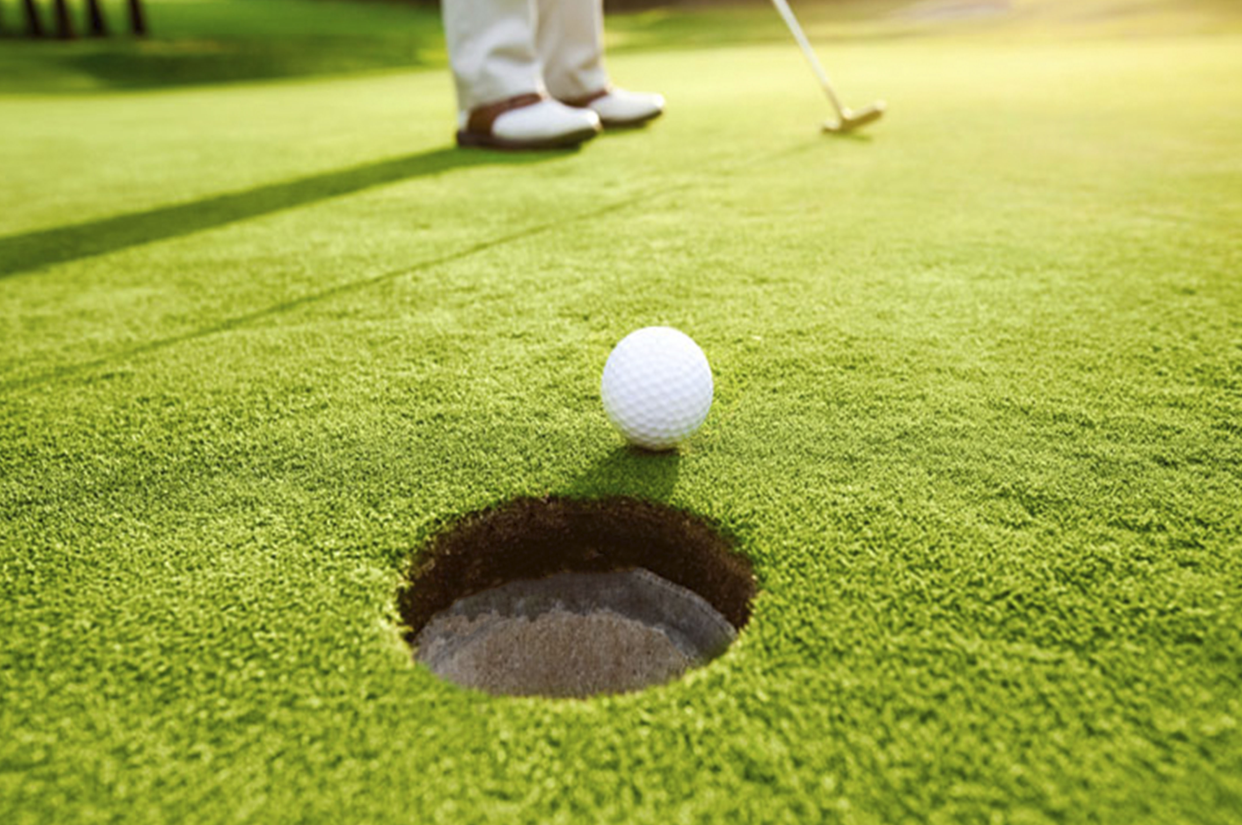 ZOYSIA 35 (1)