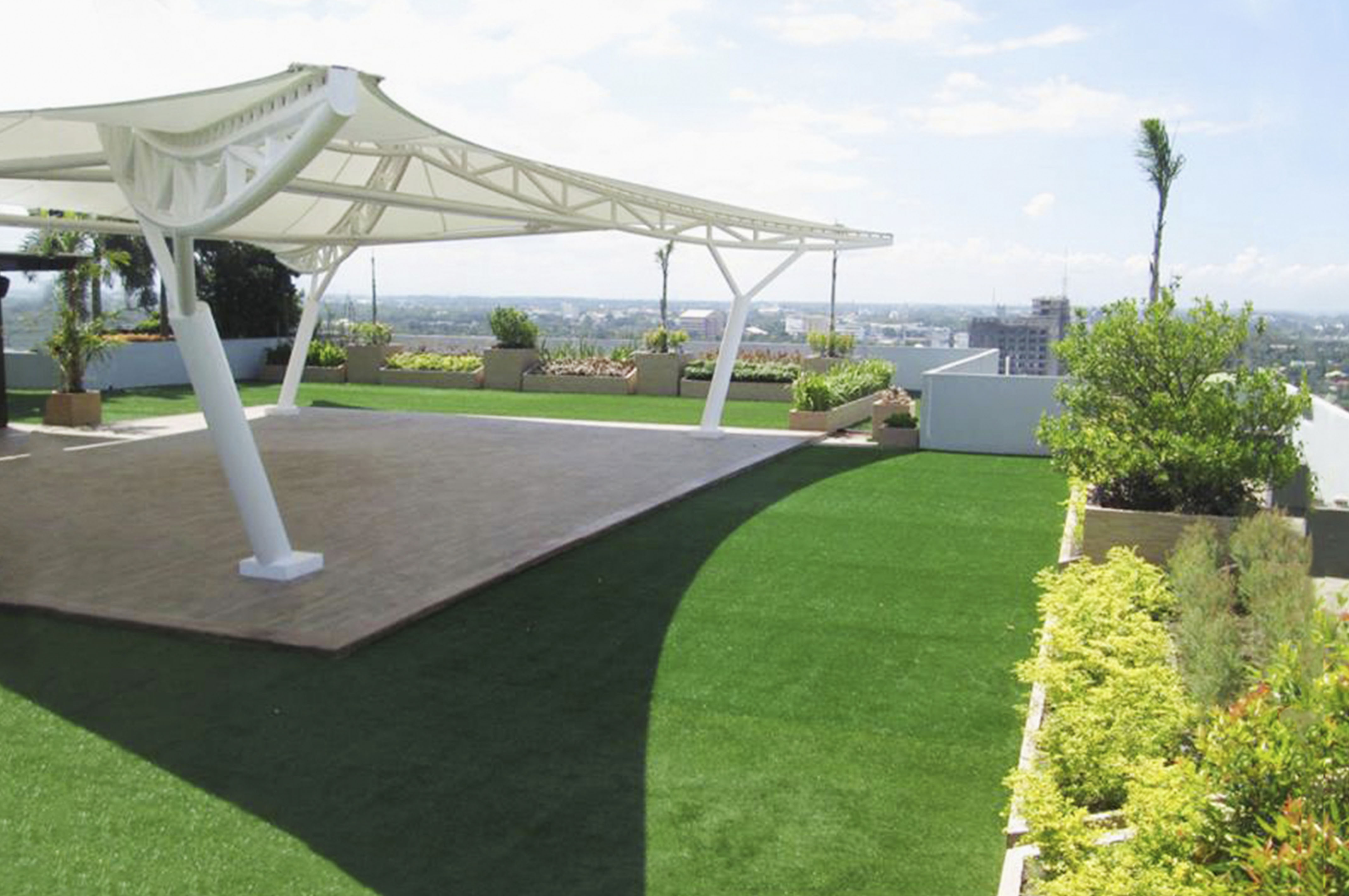 FESCUE 20 (2)