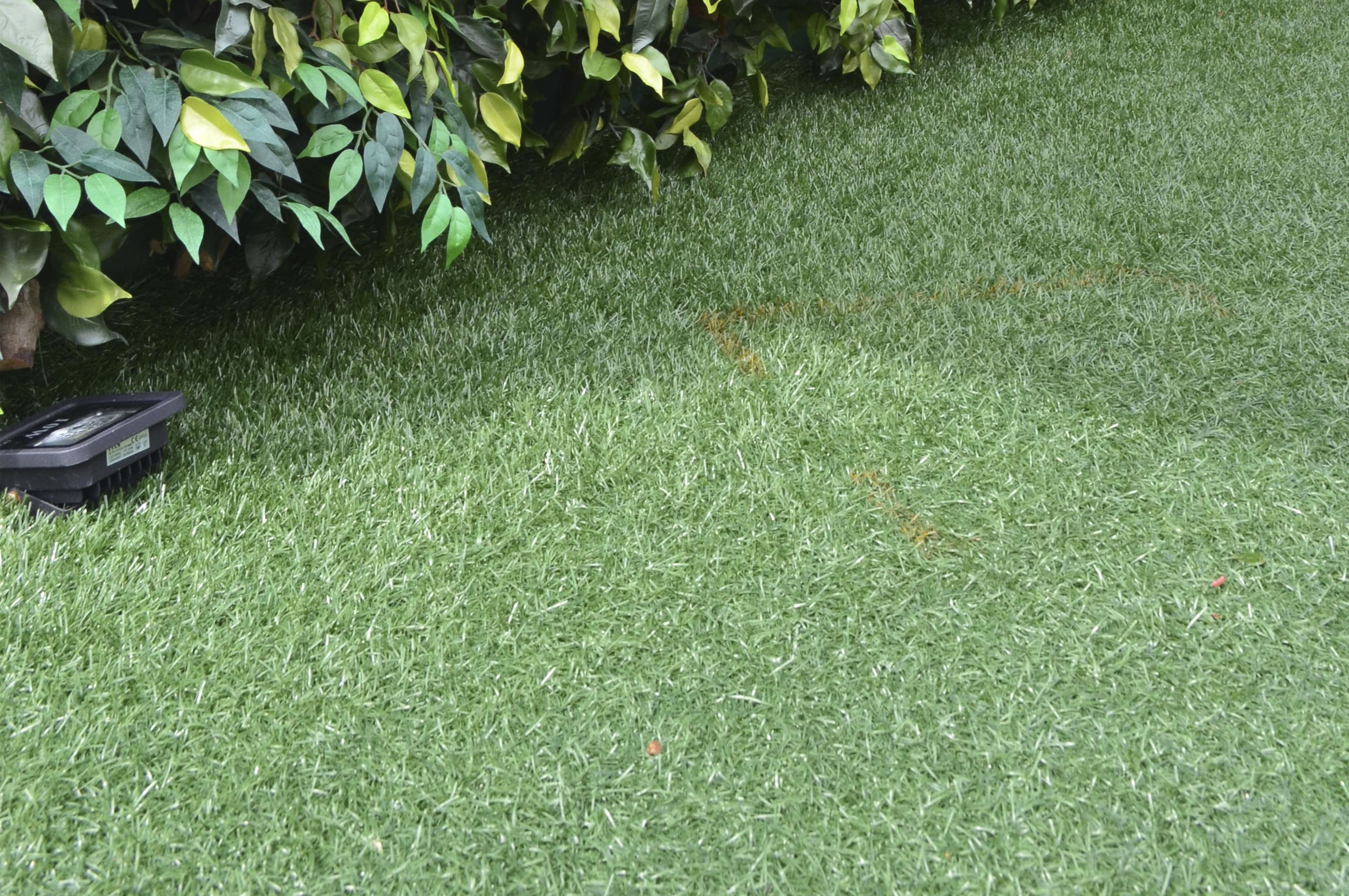 KIKUYU 36 (1)