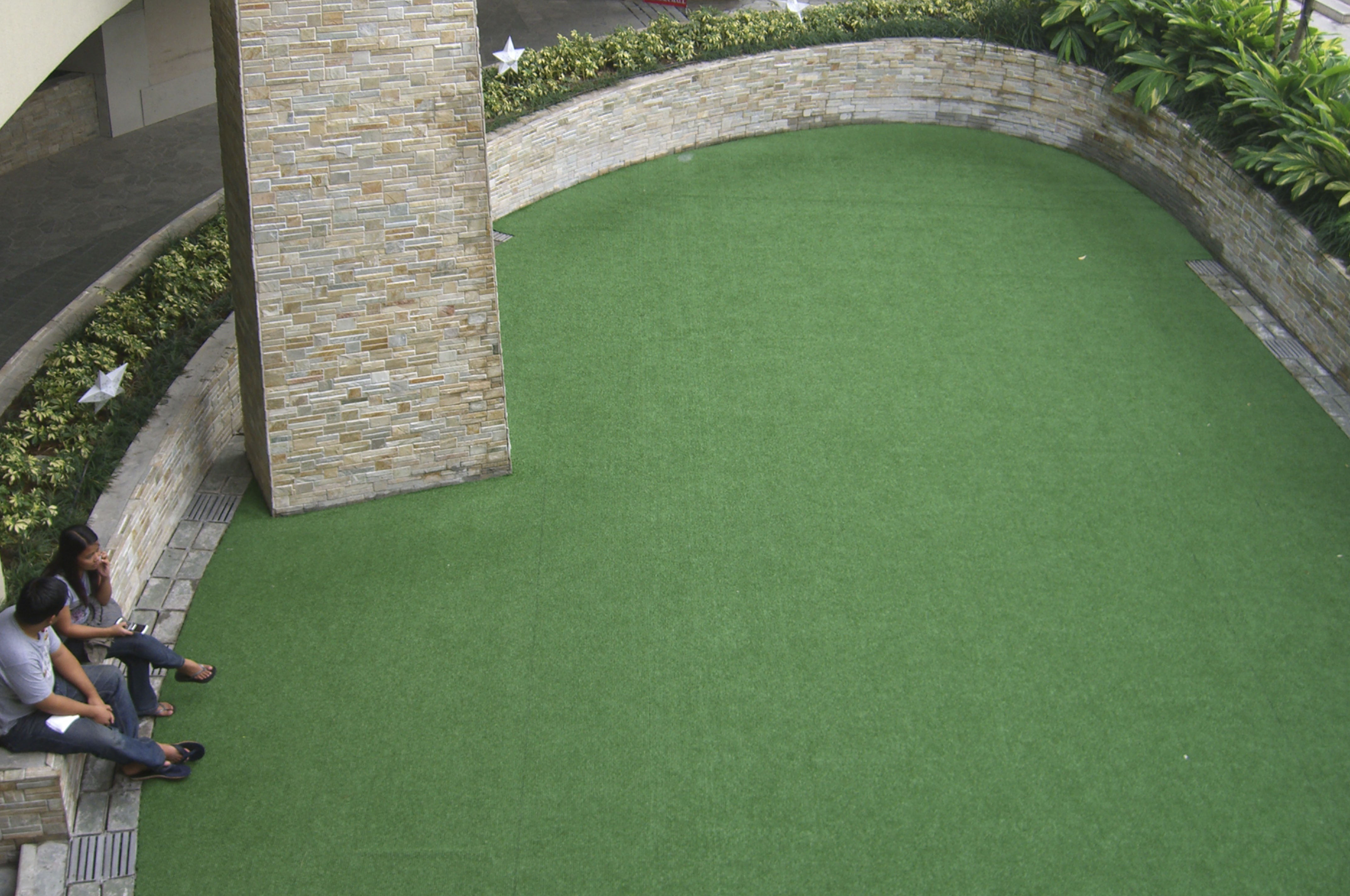 ZOYSIA 35
